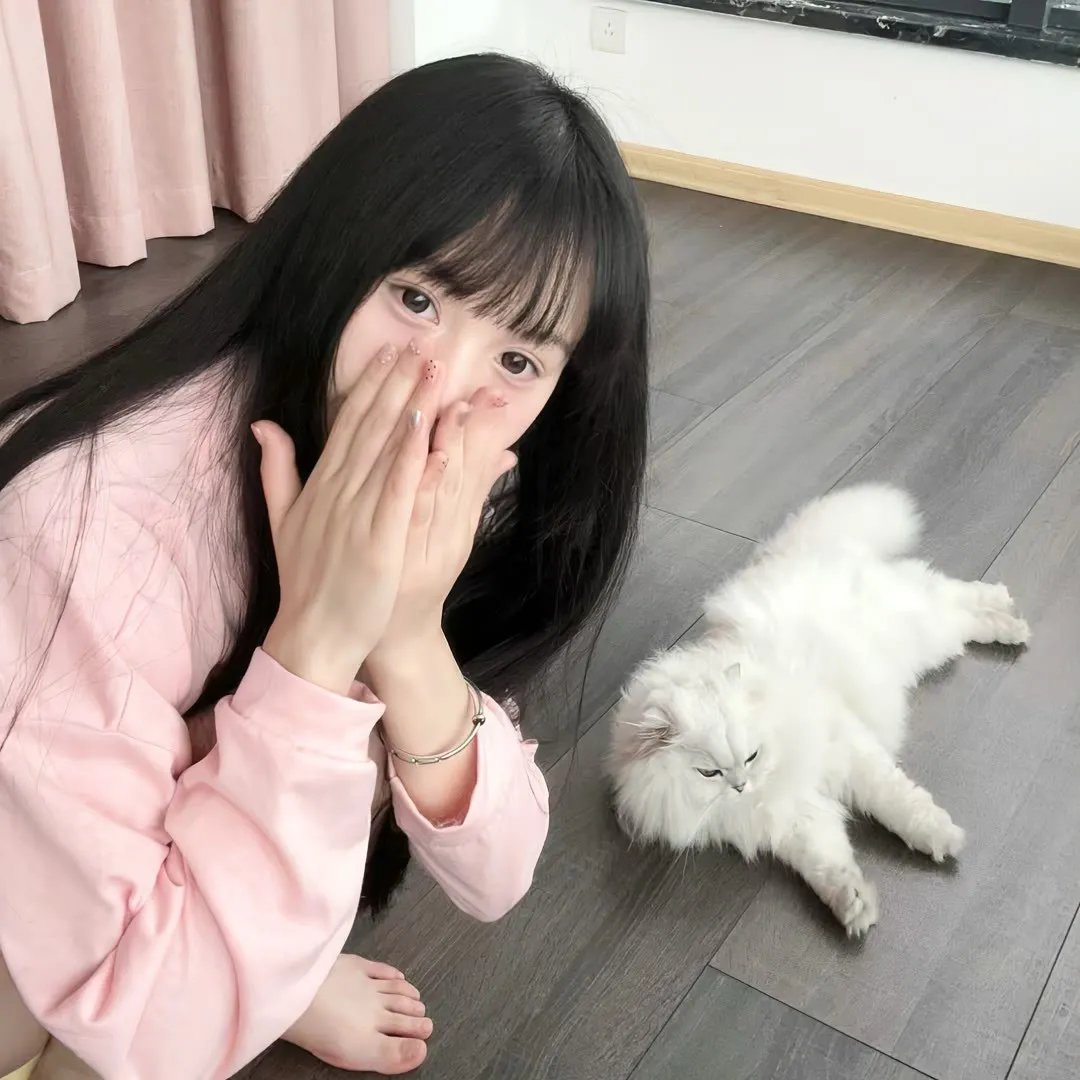 在首领猎人的土地上